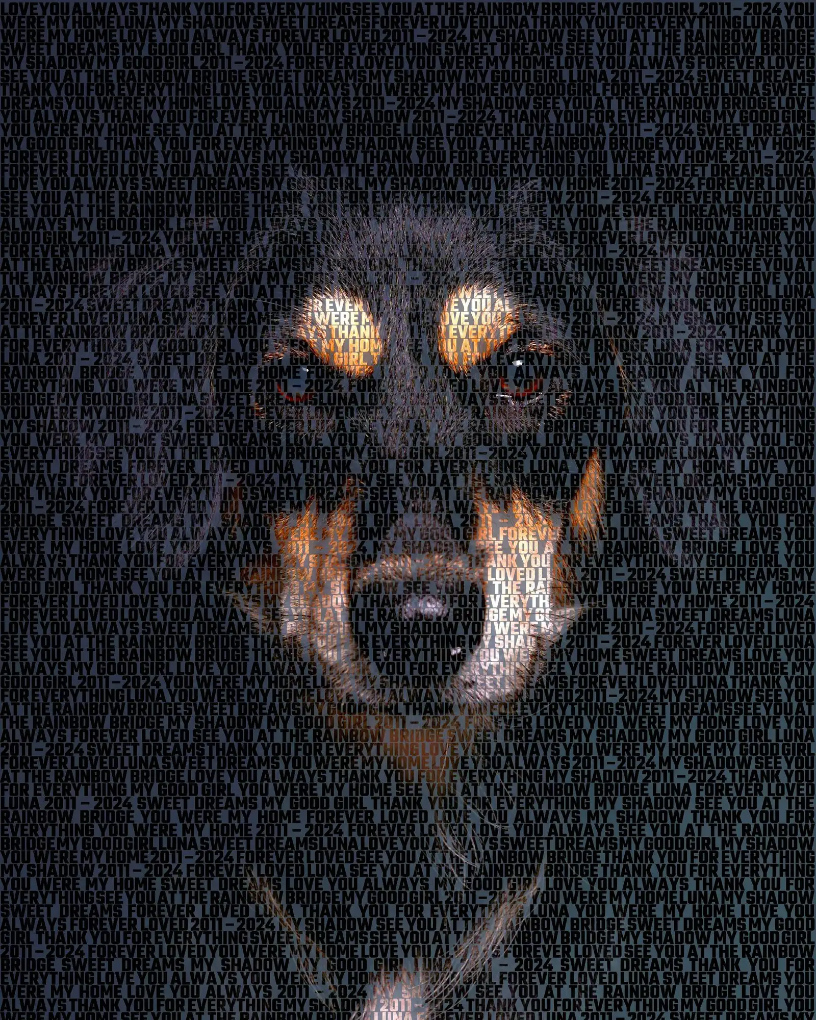 Luna, 2011 – 2024: My good girl, Forever loved, See you at the Rainbow Bridge