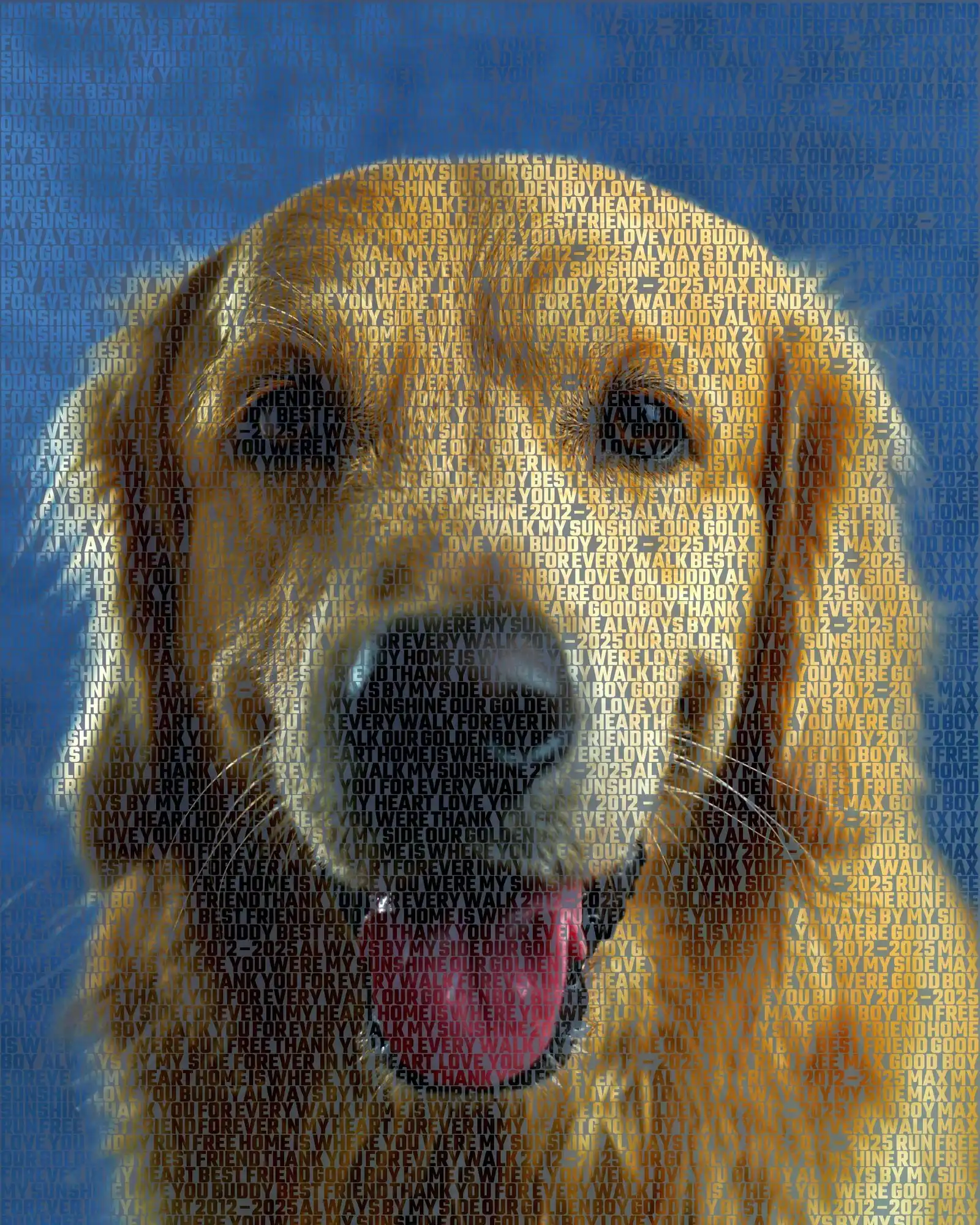 Max, 2012 – 2025: Good boy, Best friend, Forever in my heart, Thank you for every walk