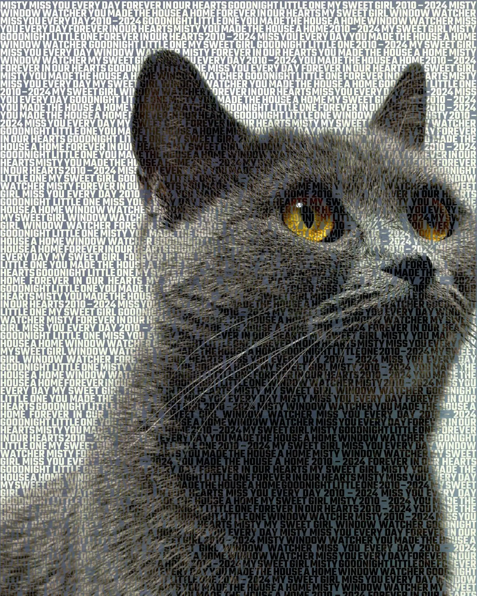 Misty, 2010 – 2024: My sweet girl, Window watcher, Forever in our hearts, You made the house a home
