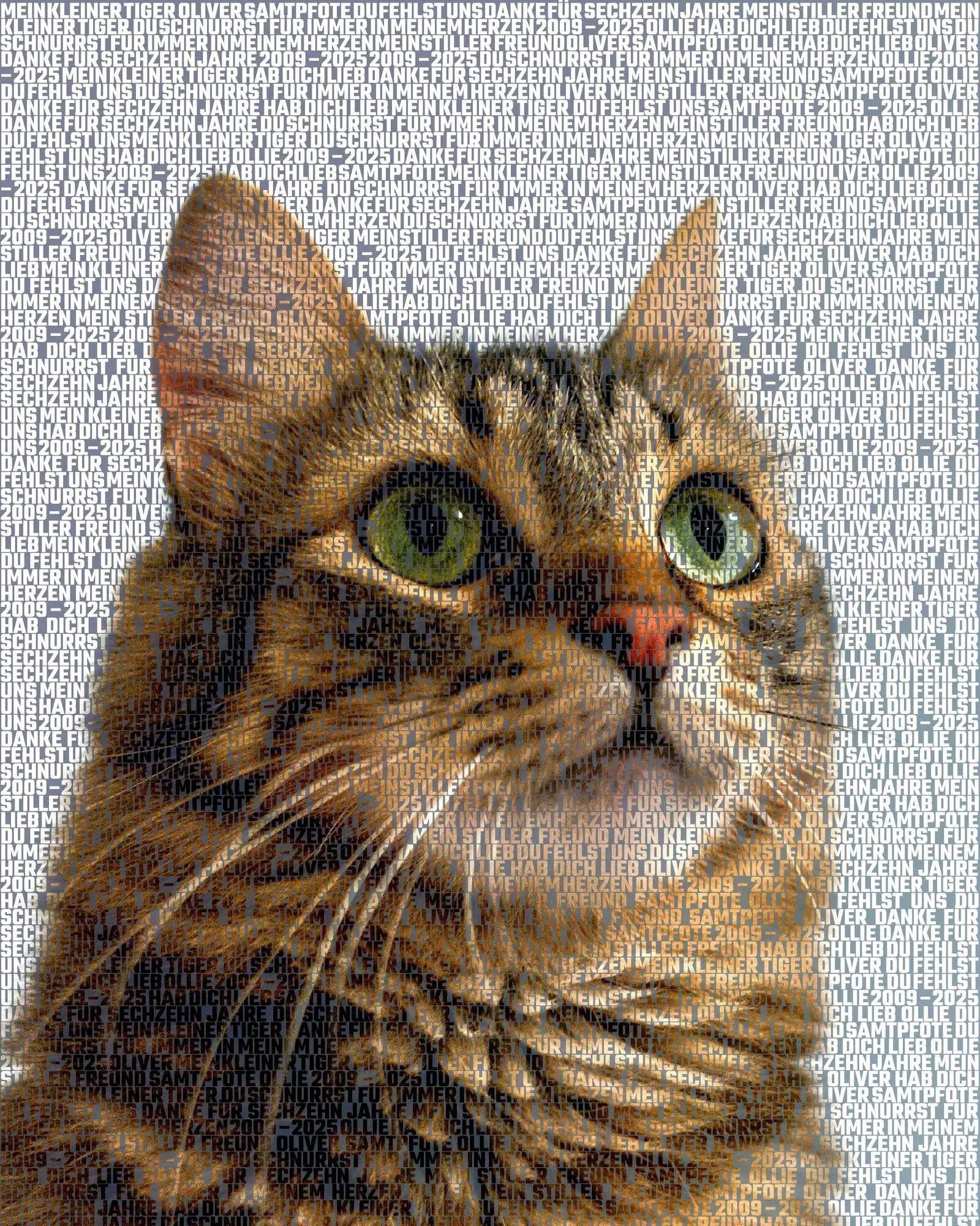 Oliver, 2009 – 2025